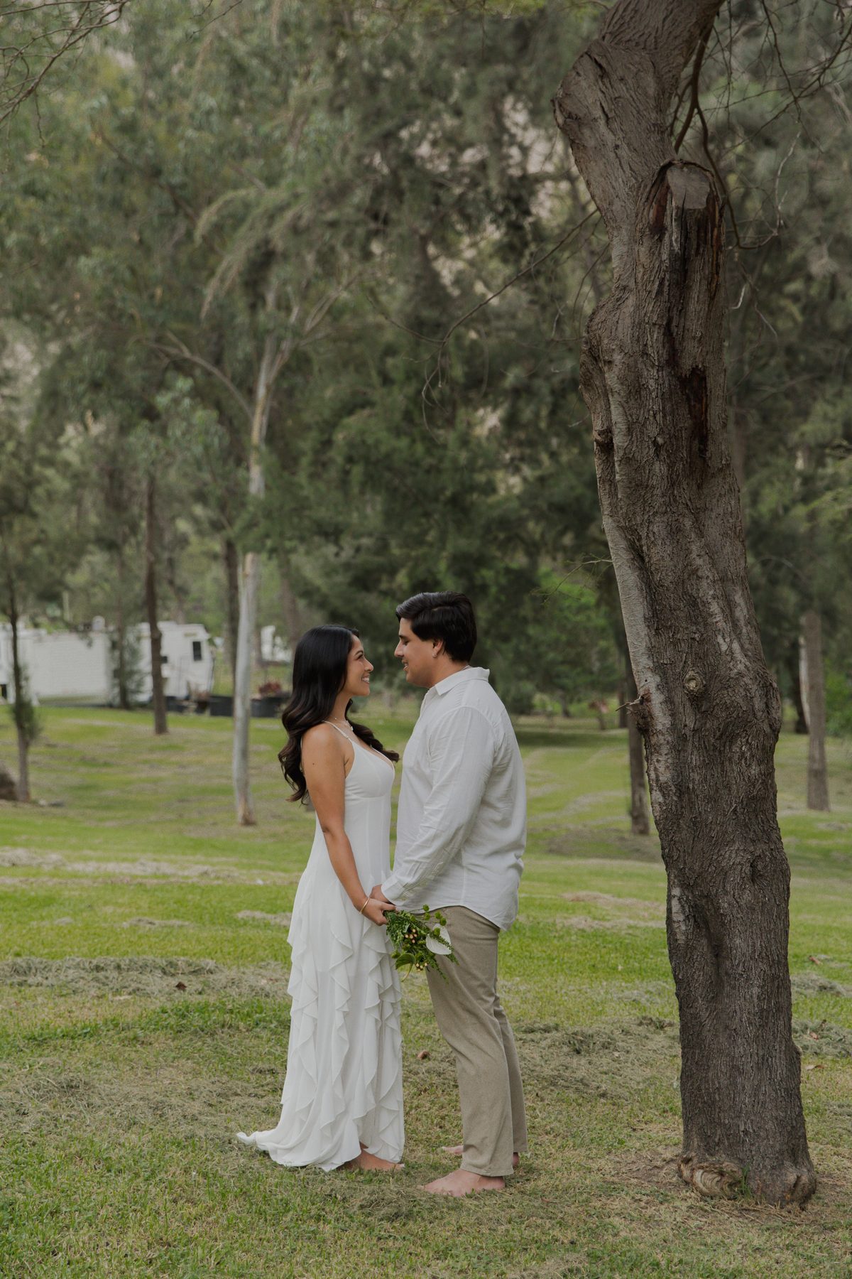 Frente a frente bajo un árbol