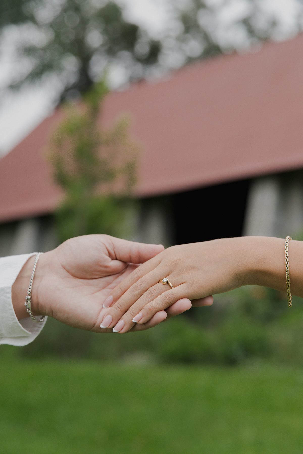 Detalle del anillo de compromiso